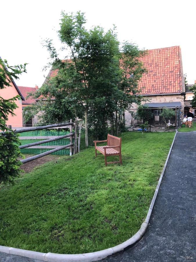 Ferienwohnung Gans Auguste Dohna Kültér fotó